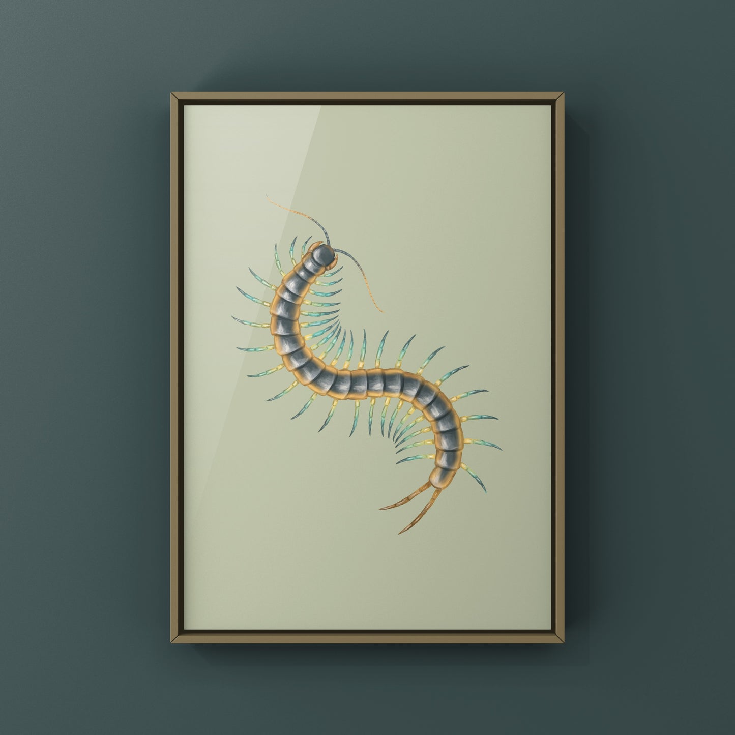 Florida Blue Centipede Art Print (Scolopendra viridis)