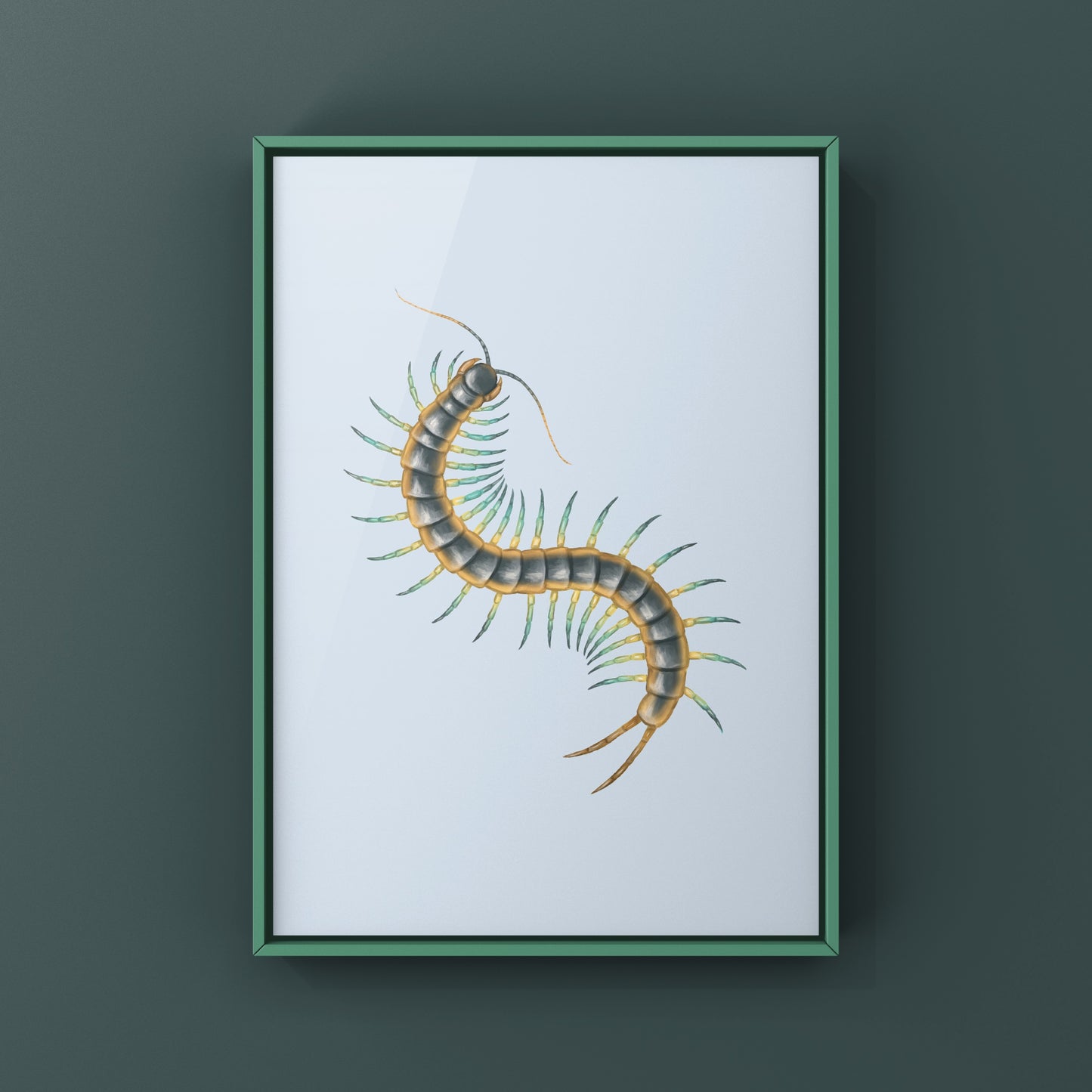Florida Blue Centipede Art Print (Scolopendra viridis)