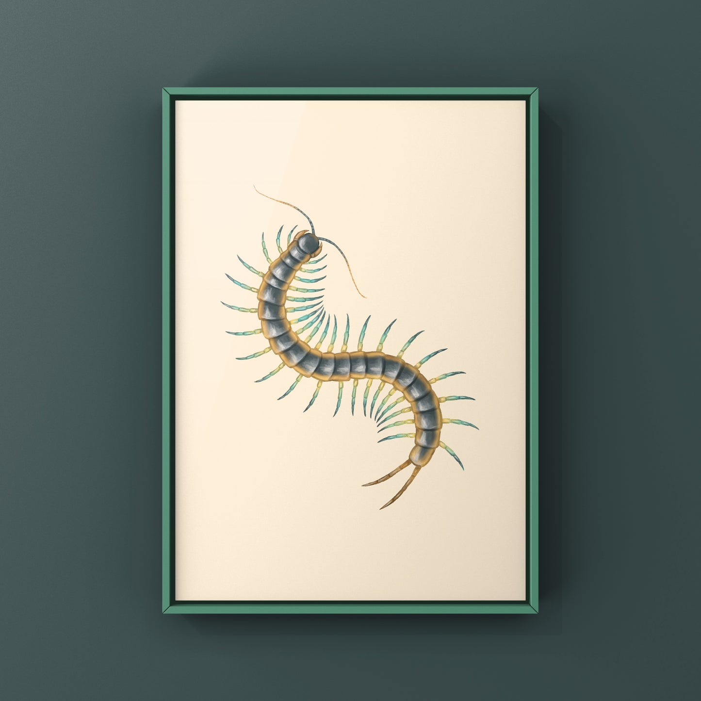 Florida Blue Centipede Art Print (Scolopendra viridis)