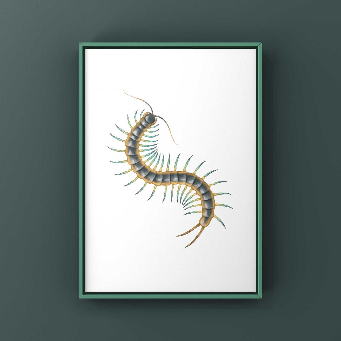 Florida Blue Centipede Art Print (Scolopendra viridis)