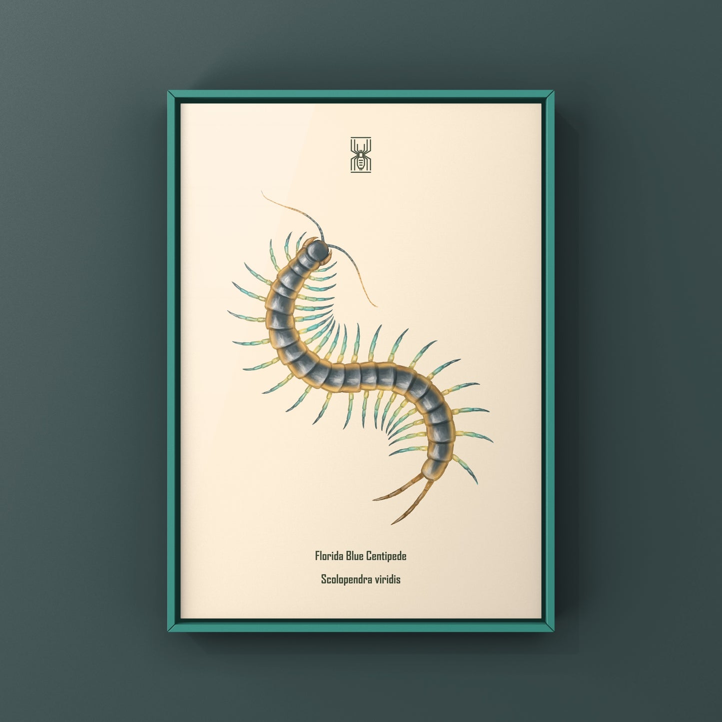 Florida Blue Centipede Art Print (Scolopendra viridis)