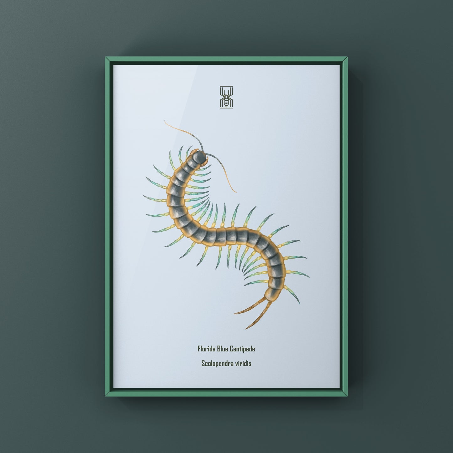 Florida Blue Centipede Art Print (Scolopendra viridis)