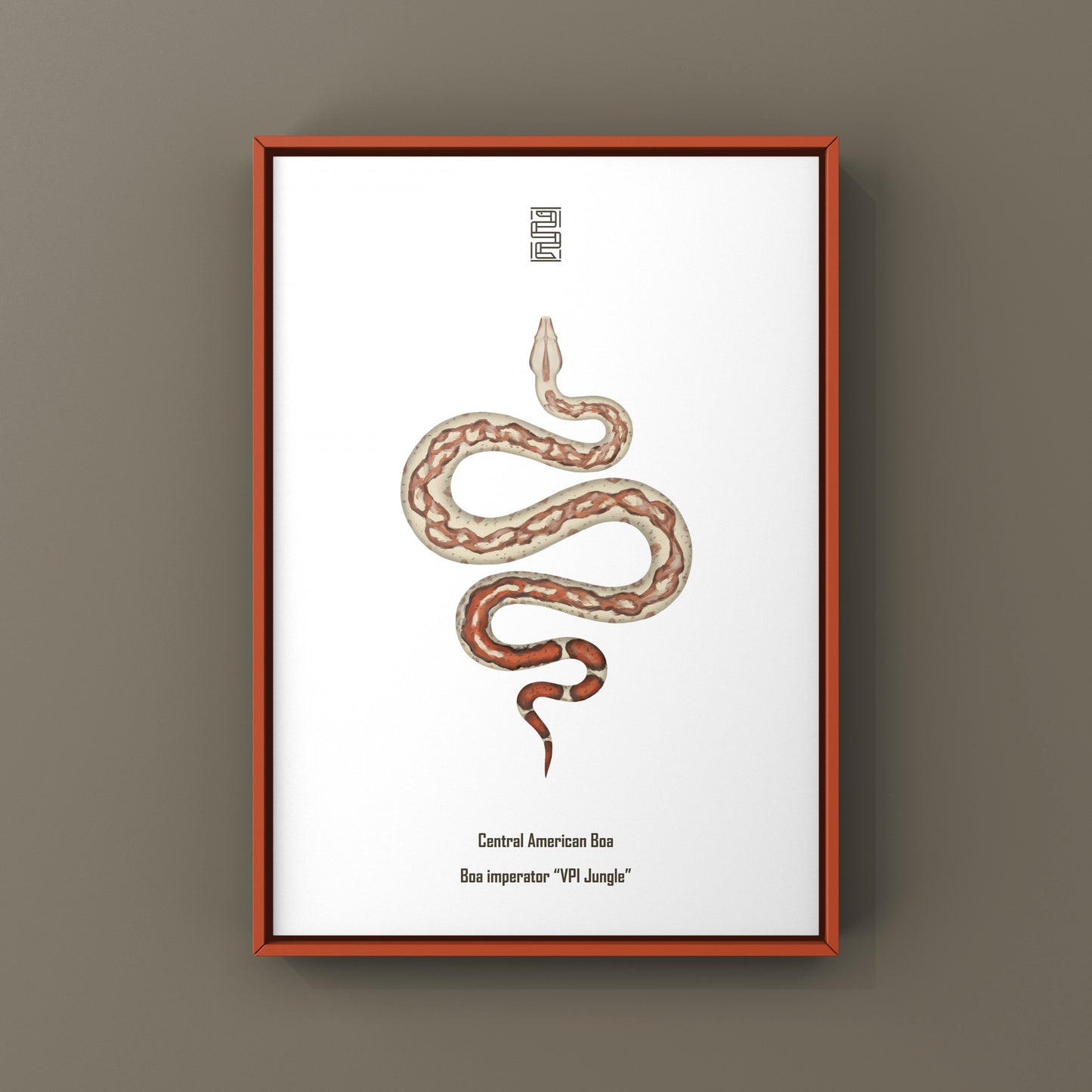 VPI Jungle Central American Boa Art Print (Boa imperator)