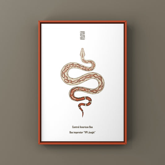 VPI Jungle Central American Boa Art Print (Boa imperator)