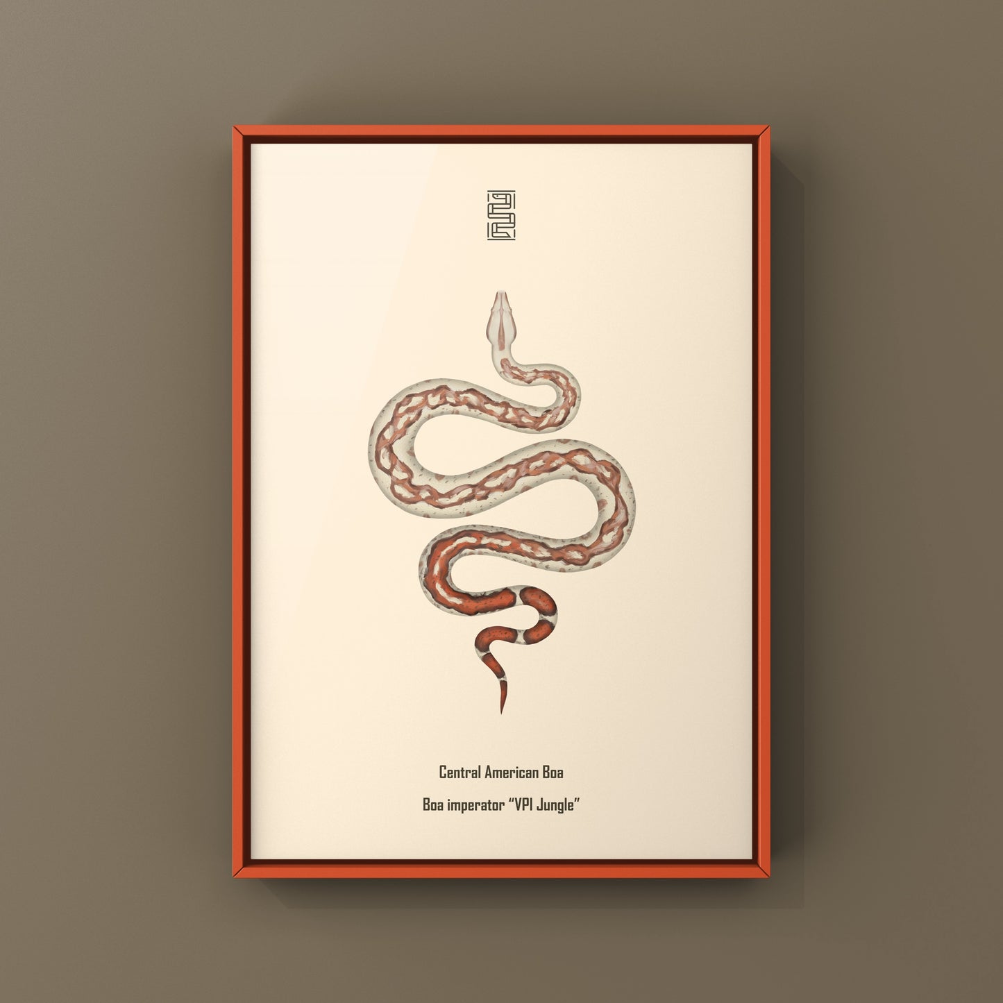 VPI Jungle Central American Boa Art Print (Boa imperator)