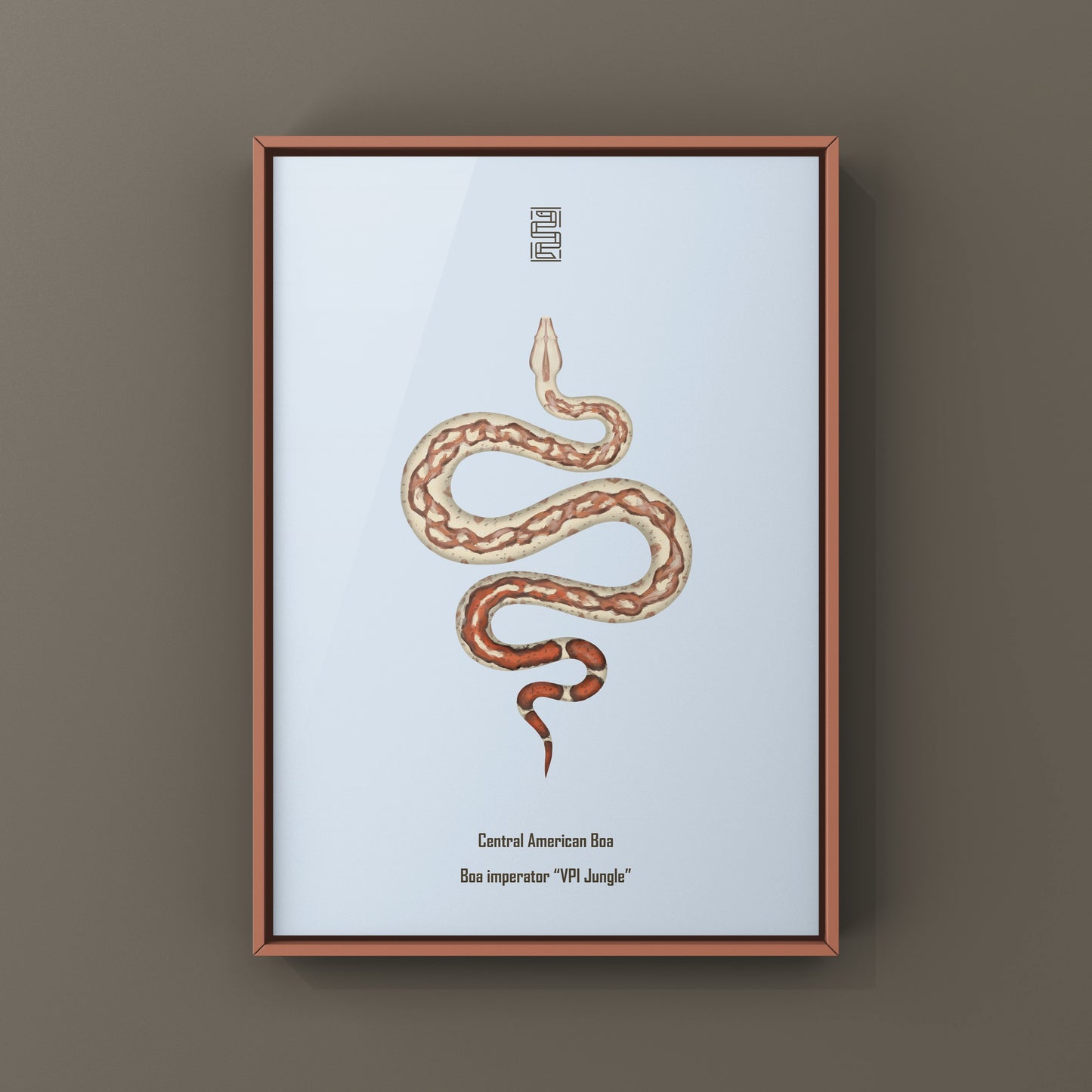 VPI Jungle Central American Boa Art Print (Boa imperator)