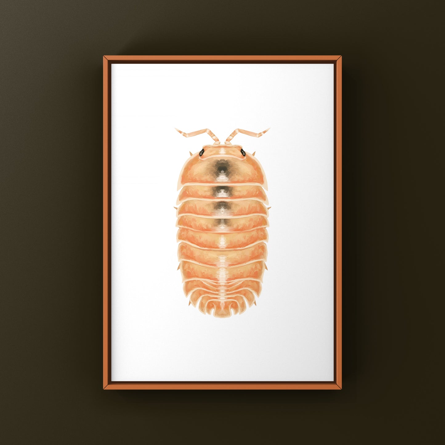 Fanta Orange Isopod Art Print (Nesodillo arcangelii "Fanta Orange")