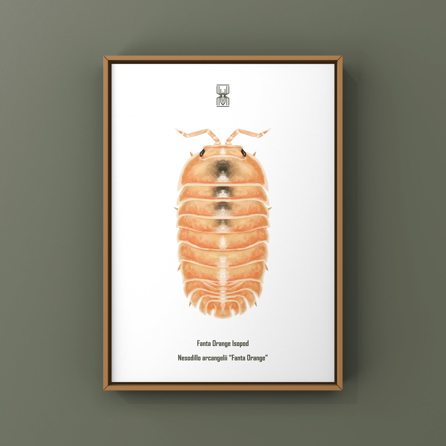 Fanta Orange Isopod Art Print (Nesodillo arcangelii "Fanta Orange")
