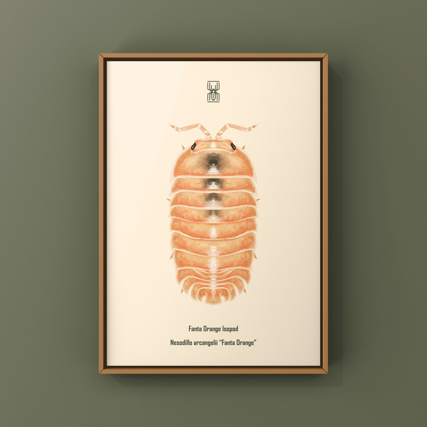 Fanta Orange Isopod Art Print (Nesodillo arcangelii "Fanta Orange")
