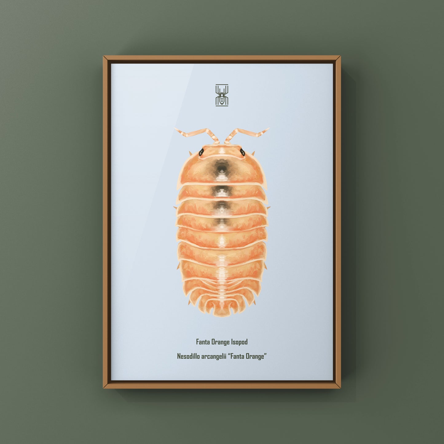 Fanta Orange Isopod Art Print (Nesodillo arcangelii "Fanta Orange")