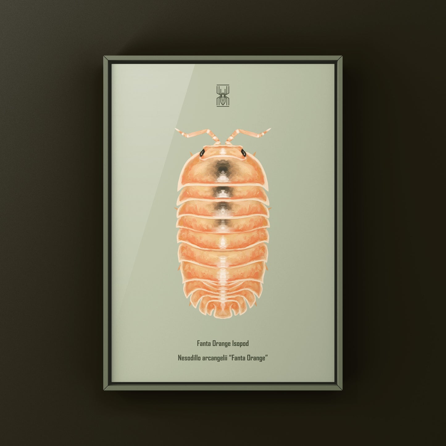 Fanta Orange Isopod Art Print (Nesodillo arcangelii "Fanta Orange")