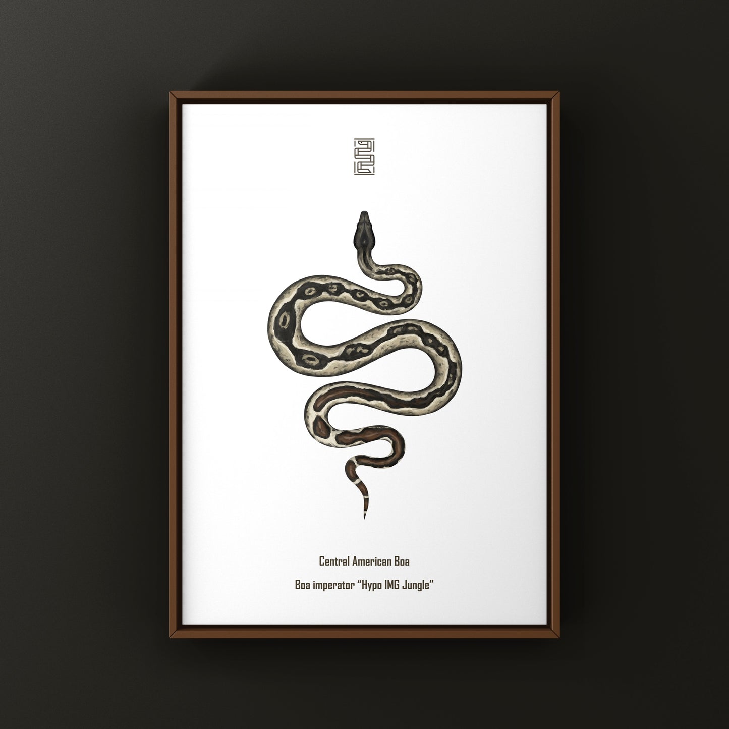 Hypo IMG Jungle Colombian Red Tail Boa Art Print (Boa imperator)