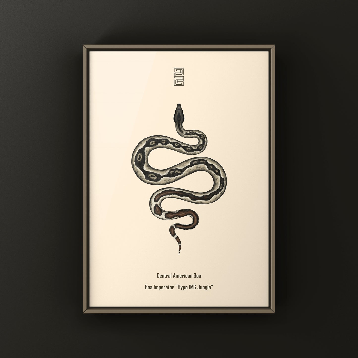 Hypo IMG Jungle Colombian Red Tail Boa Art Print (Boa imperator)