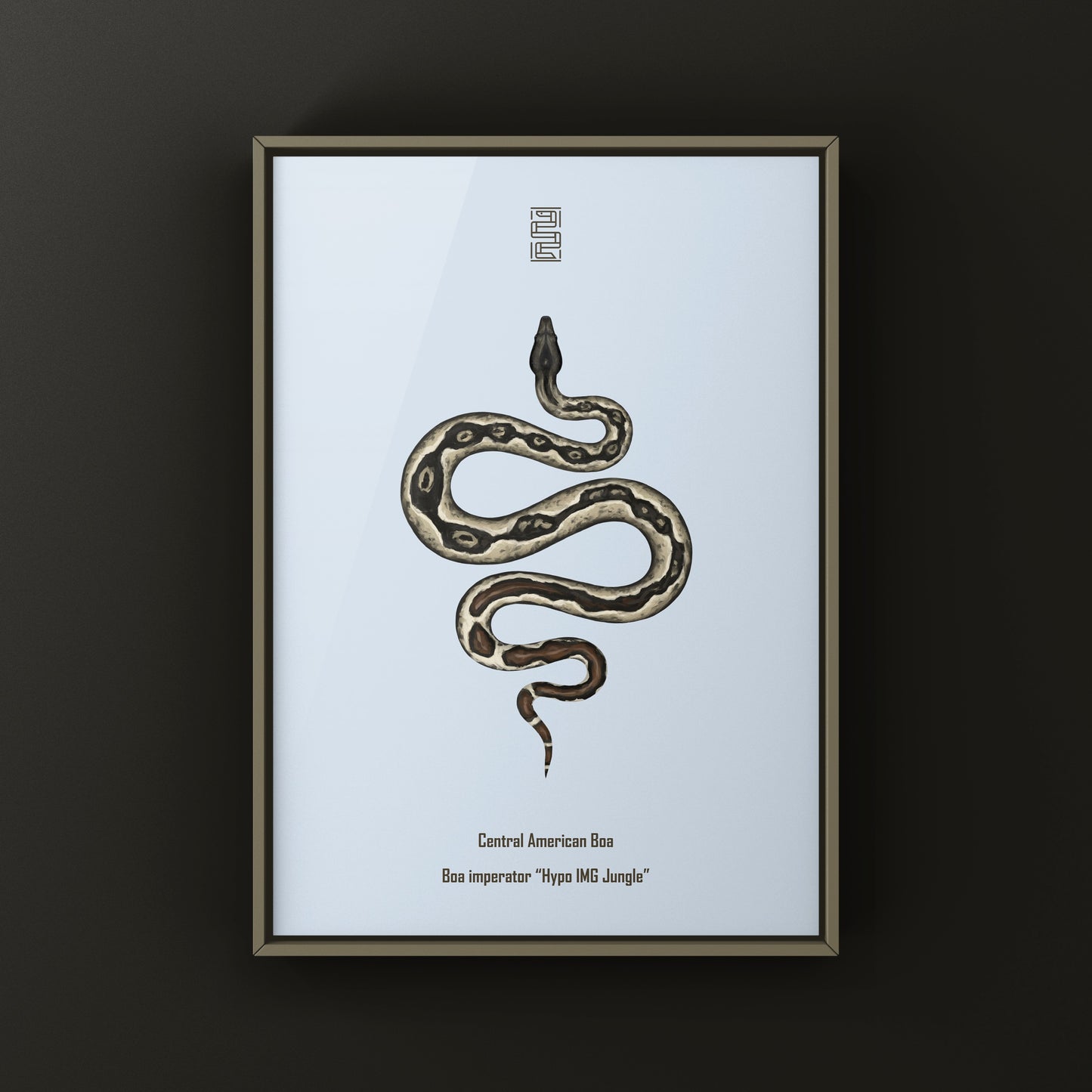 Hypo IMG Jungle Colombian Red Tail Boa Art Print (Boa imperator)