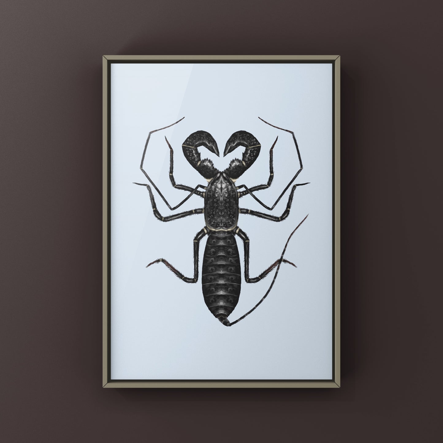 Giant Vinegaroon, Mastigoproctus Giganteus, Photographic Art Print from The Silk Ranch
