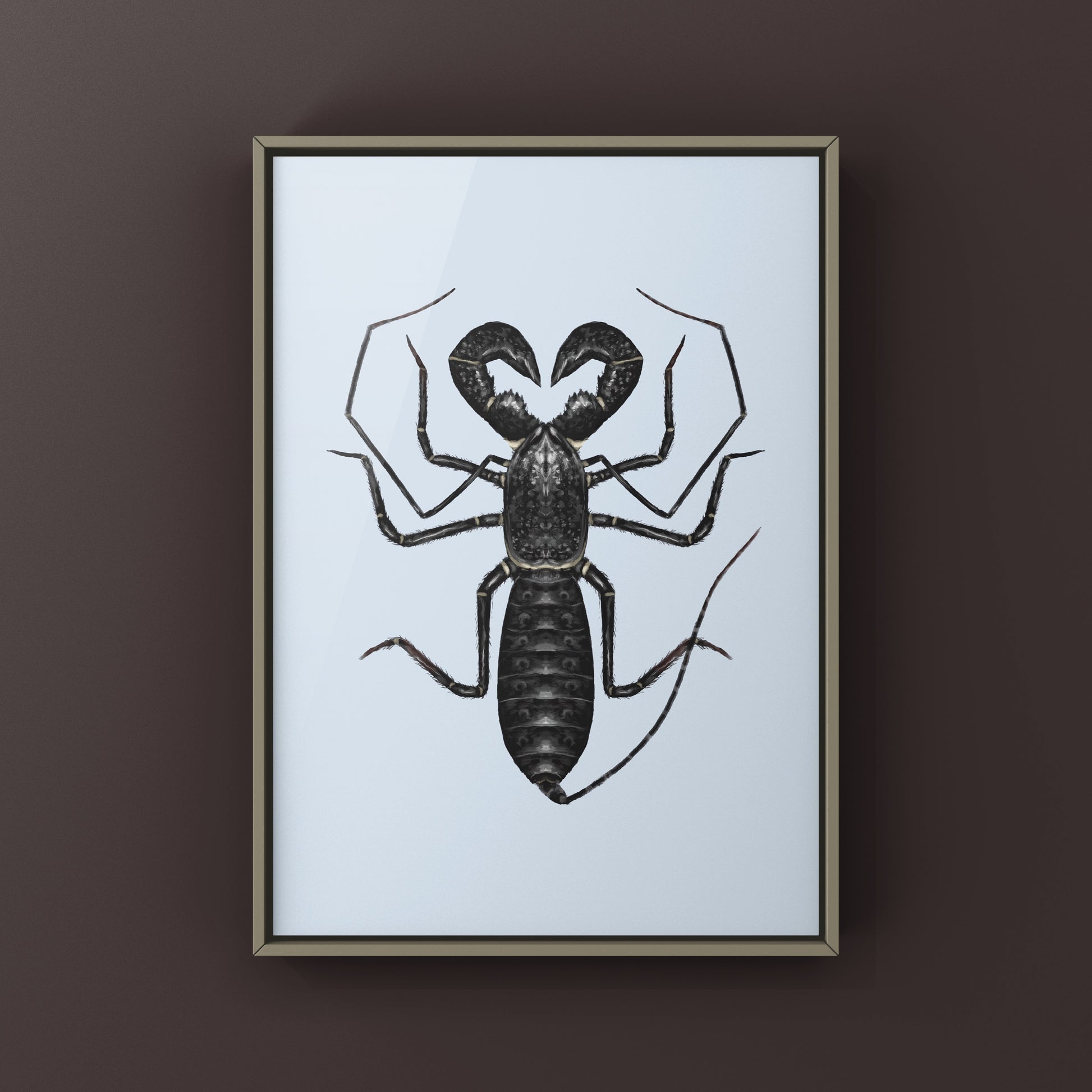 Giant Vinegaroon, Mastigoproctus Giganteus, Photographic Art Print from The Silk Ranch