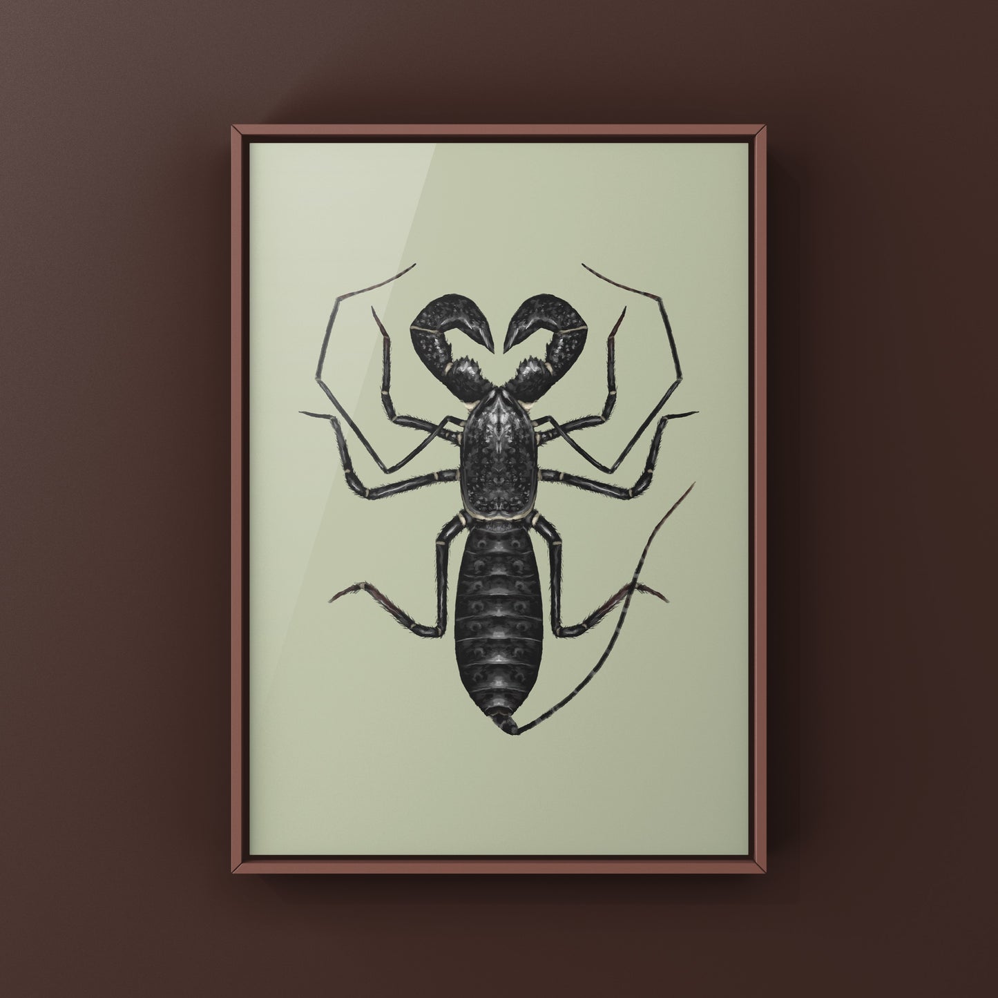 Giant Vinegaroon, Mastigoproctus Giganteus, Photographic Art Print from The Silk Ranch