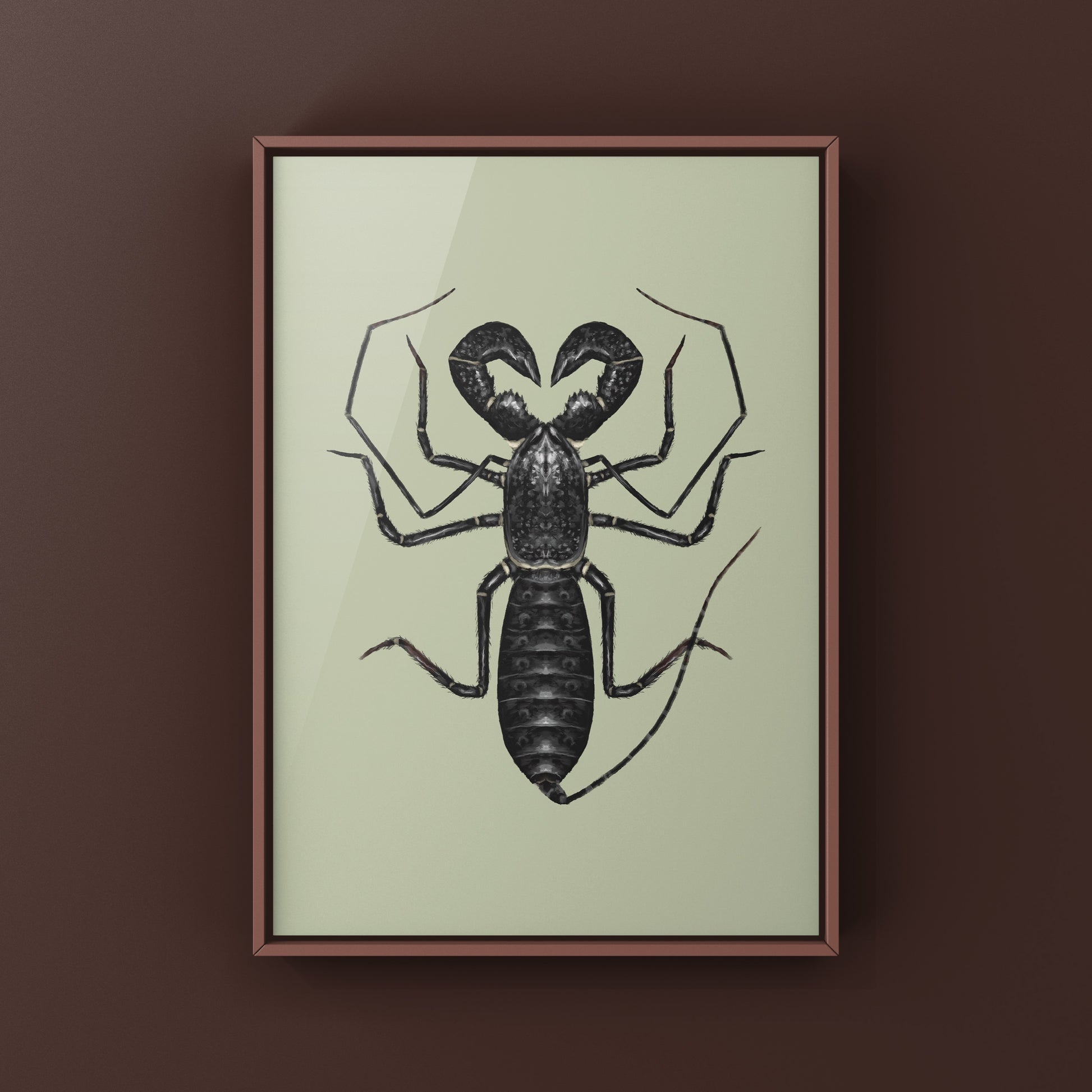 Giant Vinegaroon, Mastigoproctus Giganteus, Photographic Art Print from The Silk Ranch