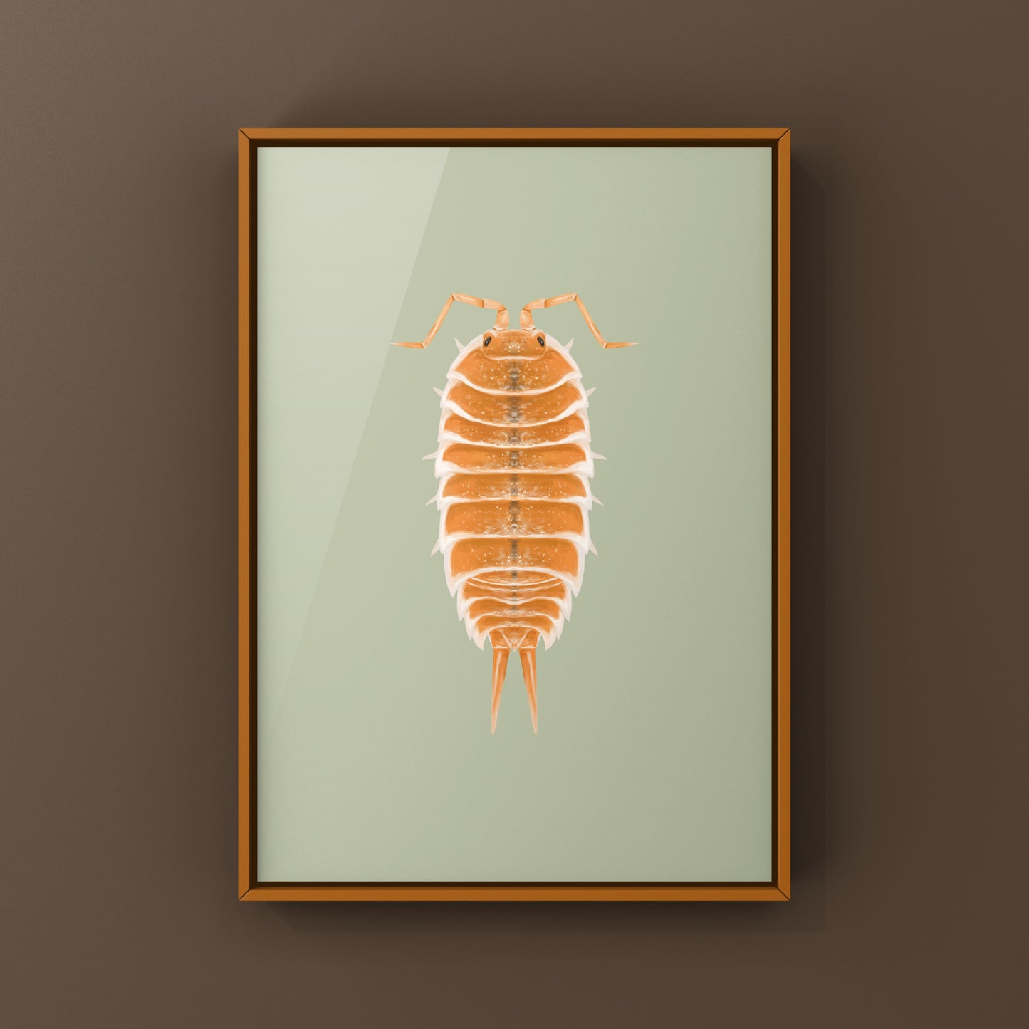 Orange Hoffmannseggii Isopod Art Print (Porcellio hoffmannseggii "Orange")