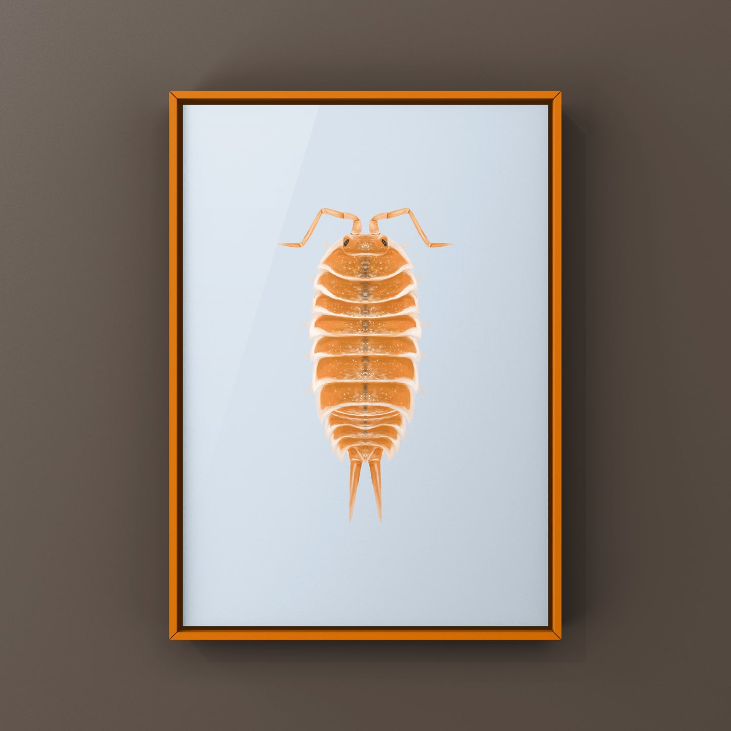 Orange Hoffmannseggii Isopod Art Print (Porcellio hoffmannseggii "Orange")
