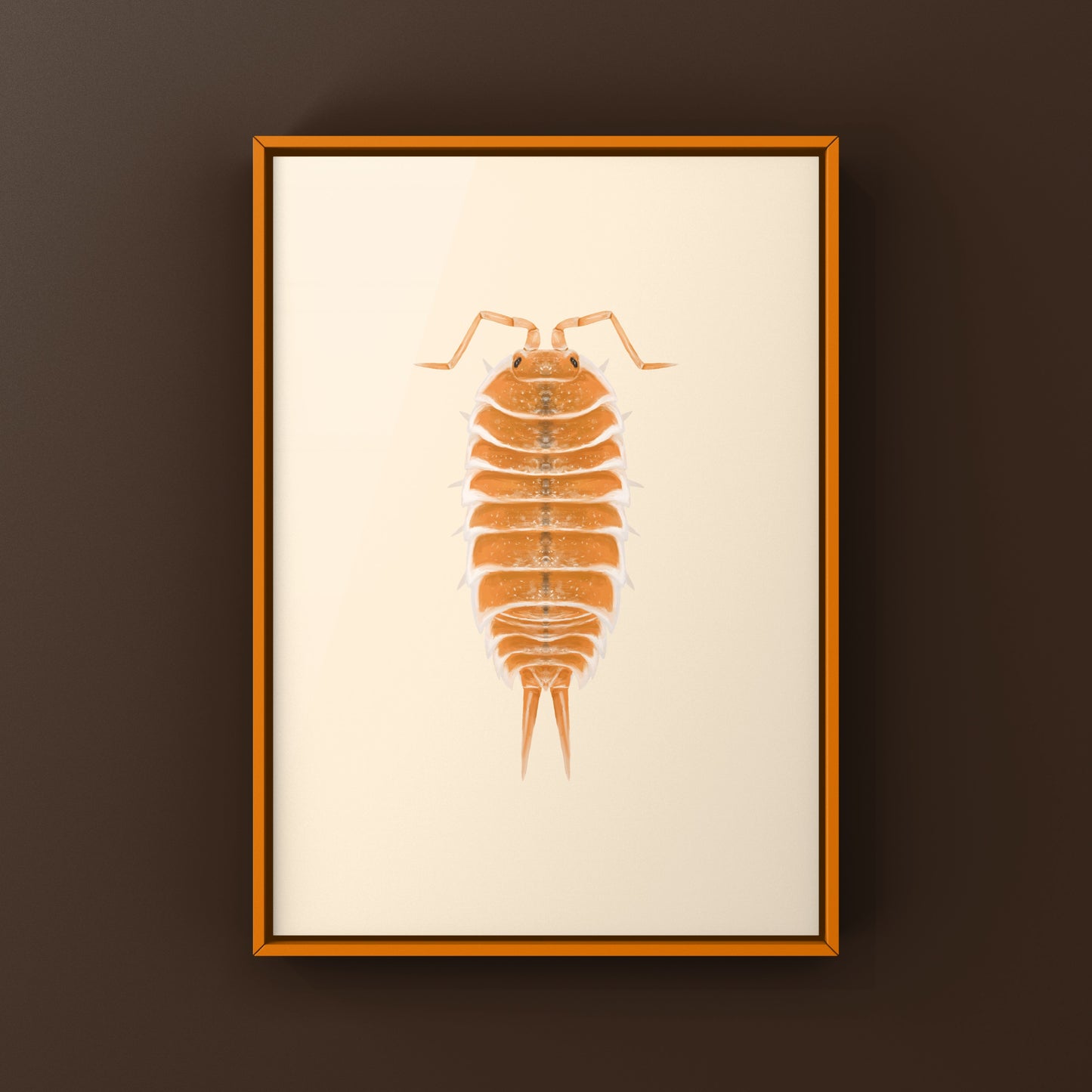 Orange Hoffmannseggii Isopod Art Print (Porcellio hoffmannseggii "Orange")