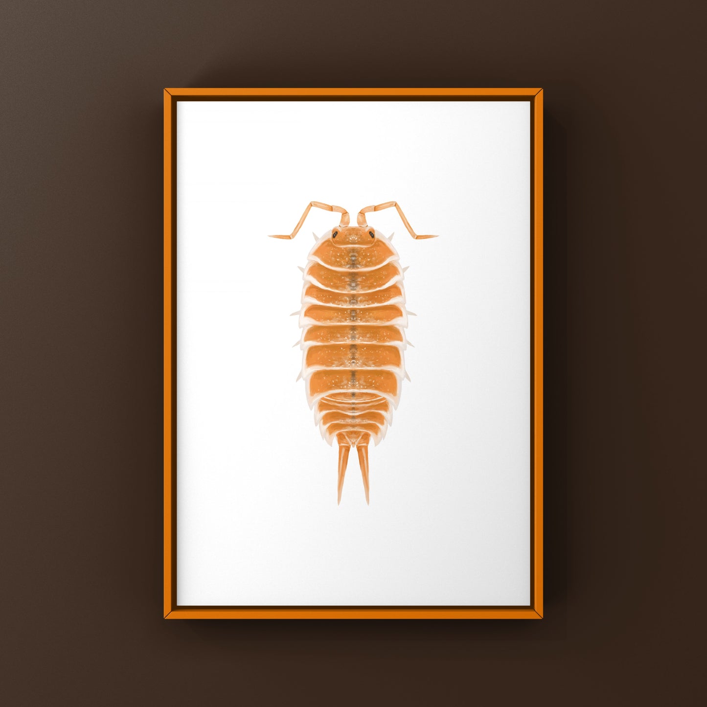 Orange Hoffmannseggii Isopod Art Print (Porcellio hoffmannseggii "Orange")