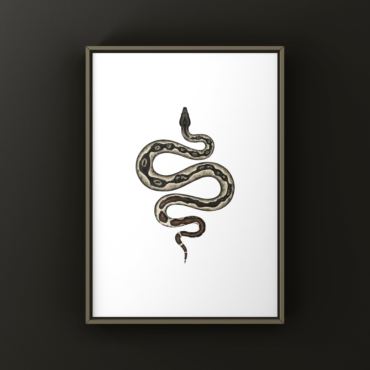Hypo IMG Jungle Colombian Red Tail Boa Art Print (Boa imperator)