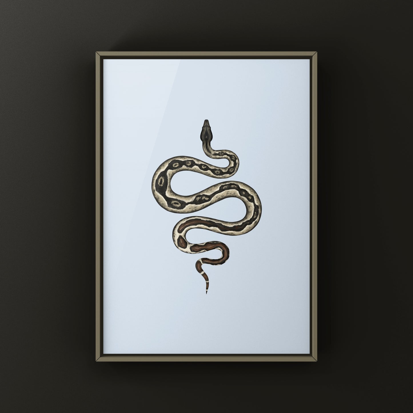 Hypo IMG Jungle Colombian Red Tail Boa Art Print (Boa imperator)
