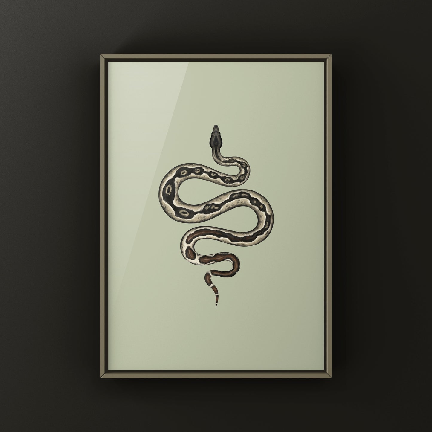Hypo IMG Jungle Colombian Red Tail Boa Art Print (Boa imperator)