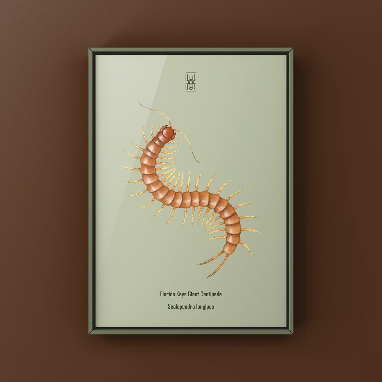 Florida Keys Giant Centipede Art Print (Scolopendra longipes)