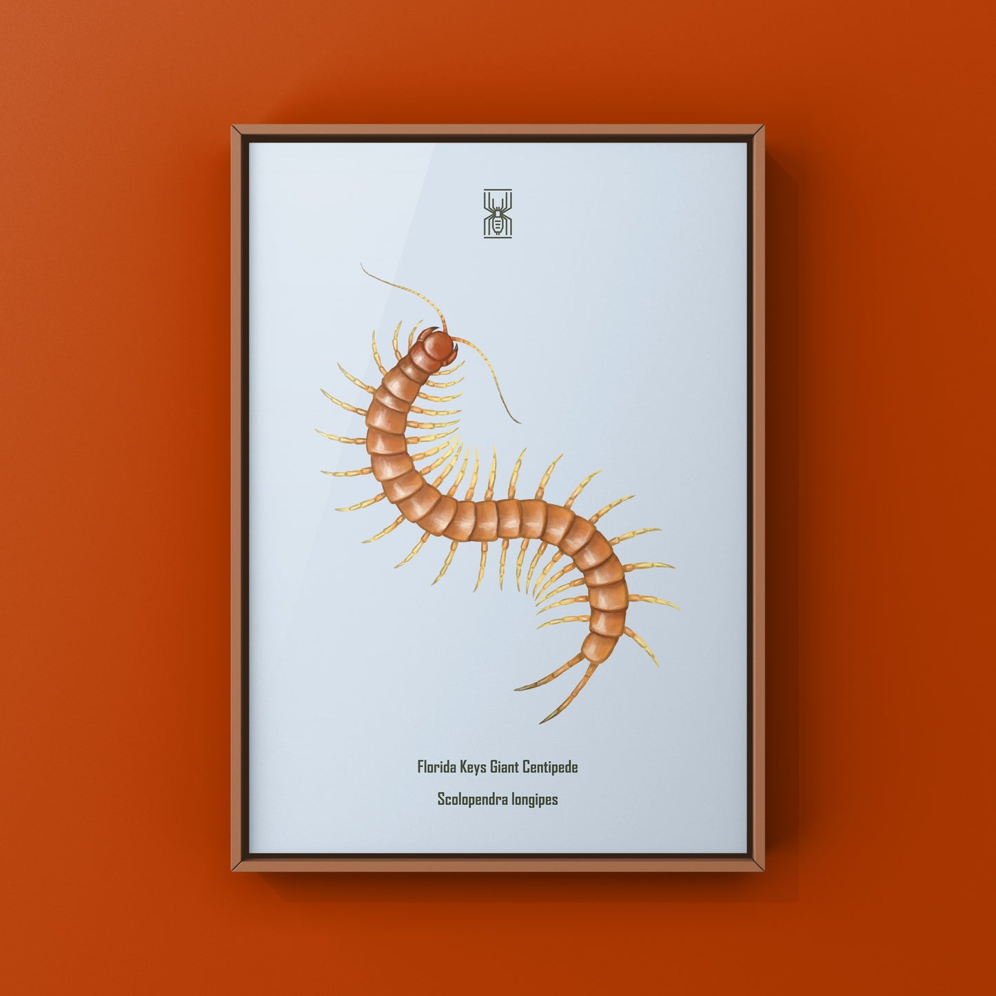 Florida Keys Giant Centipede Art Print (Scolopendra longipes)