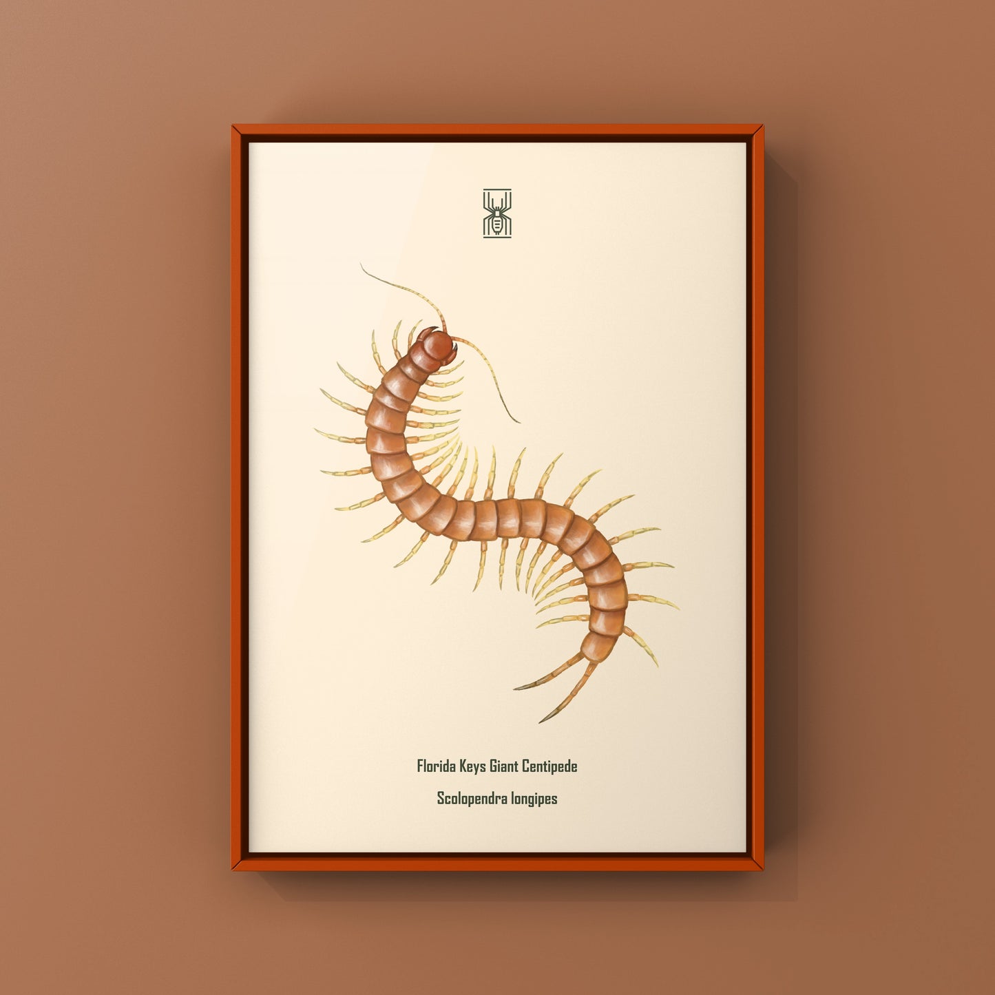 Florida Keys Giant Centipede Art Print (Scolopendra longipes)