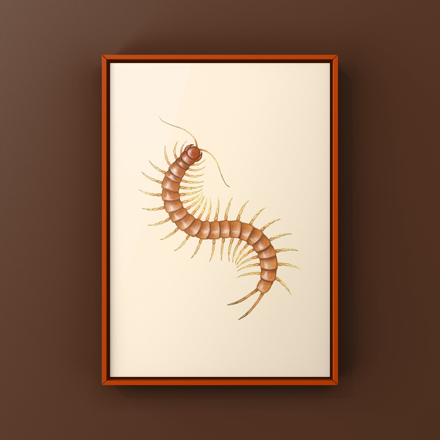 Florida Keys Giant Centipede Art Print (Scolopendra longipes)