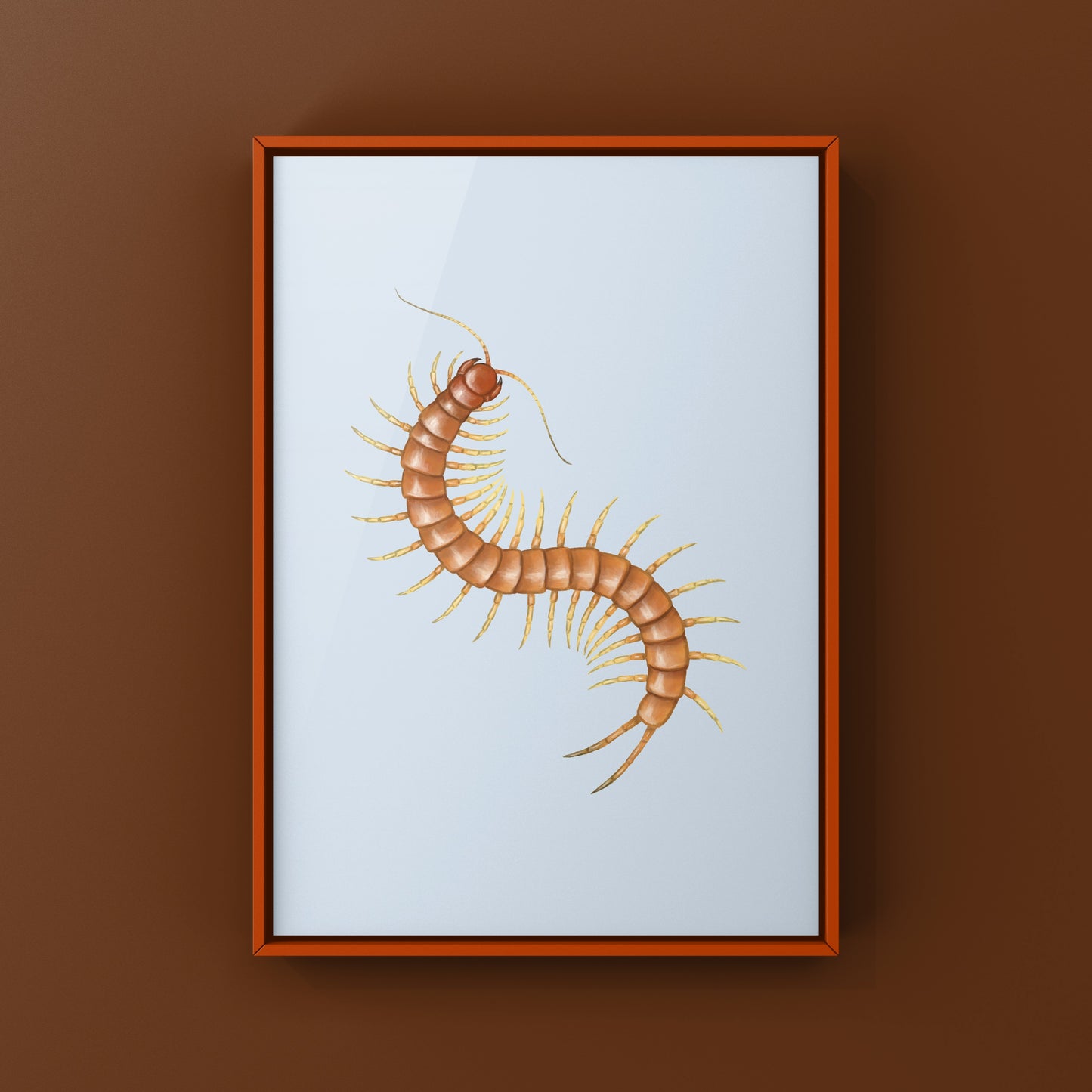 Florida Keys Giant Centipede Art Print (Scolopendra longipes)
