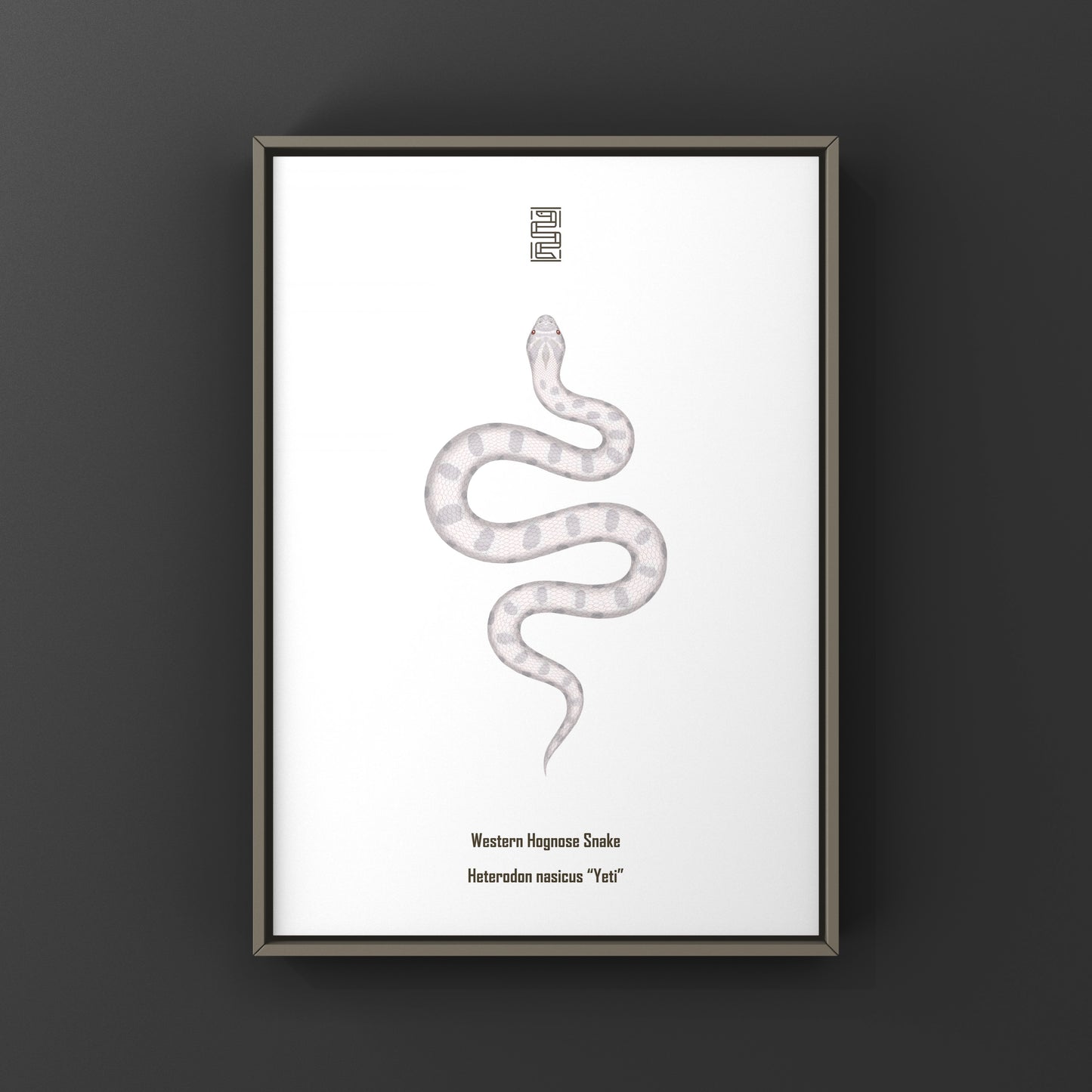 Yeti Western Hognose Snake Art Print (Heterodon nasicus)