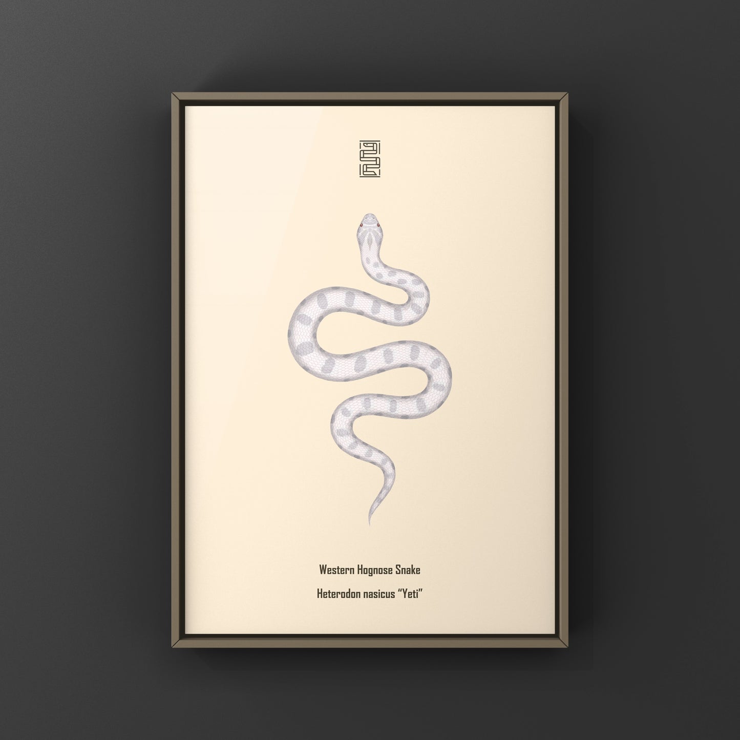 Yeti Western Hognose Snake Art Print (Heterodon nasicus)