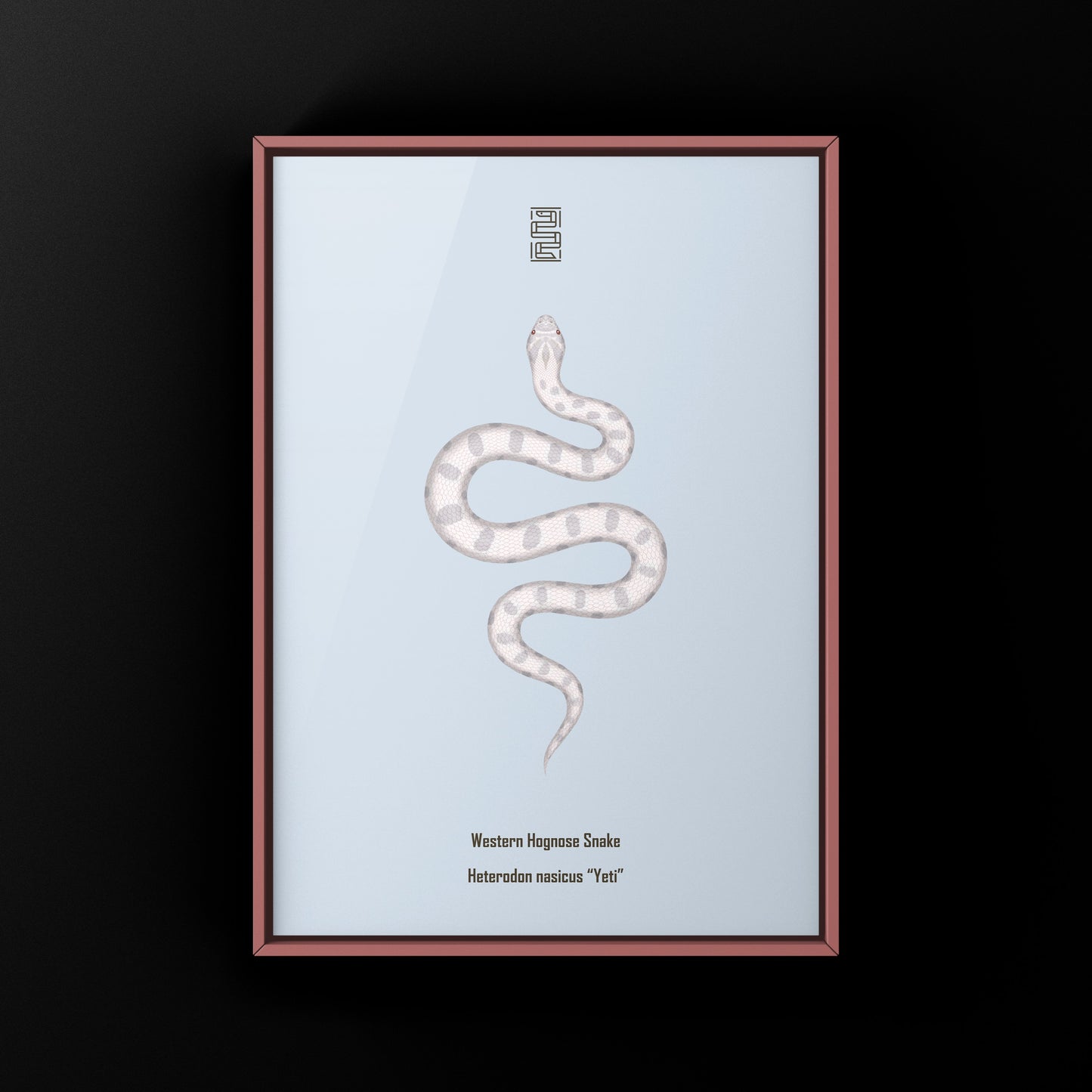 Yeti Western Hognose Snake Art Print (Heterodon nasicus)