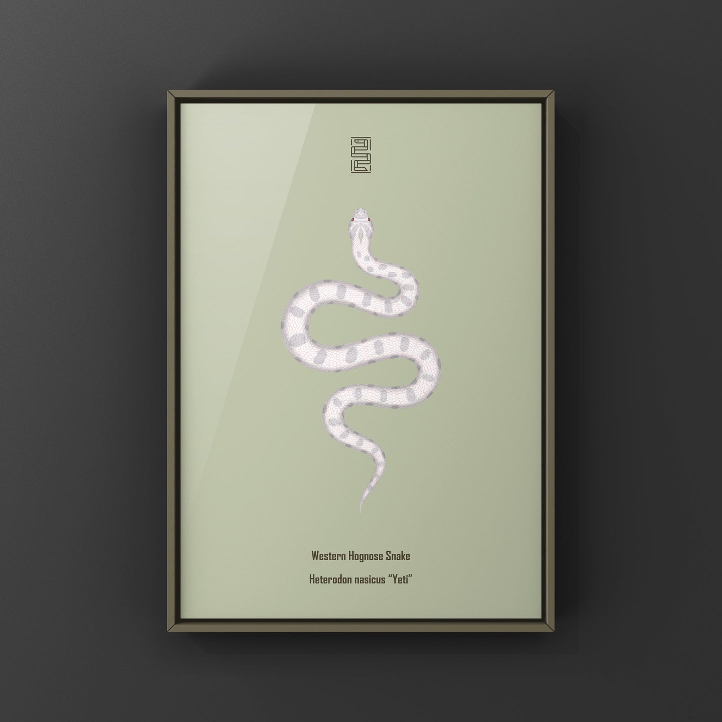 Yeti Western Hognose Snake Art Print (Heterodon nasicus)