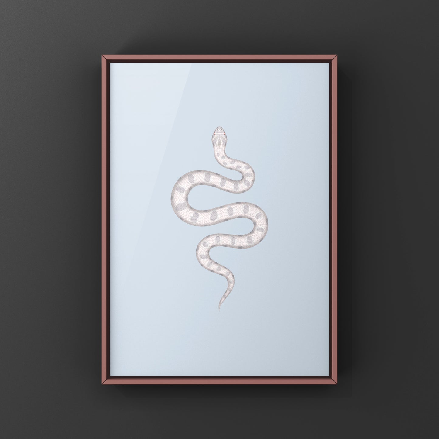 Yeti Western Hognose Snake Art Print (Heterodon nasicus)