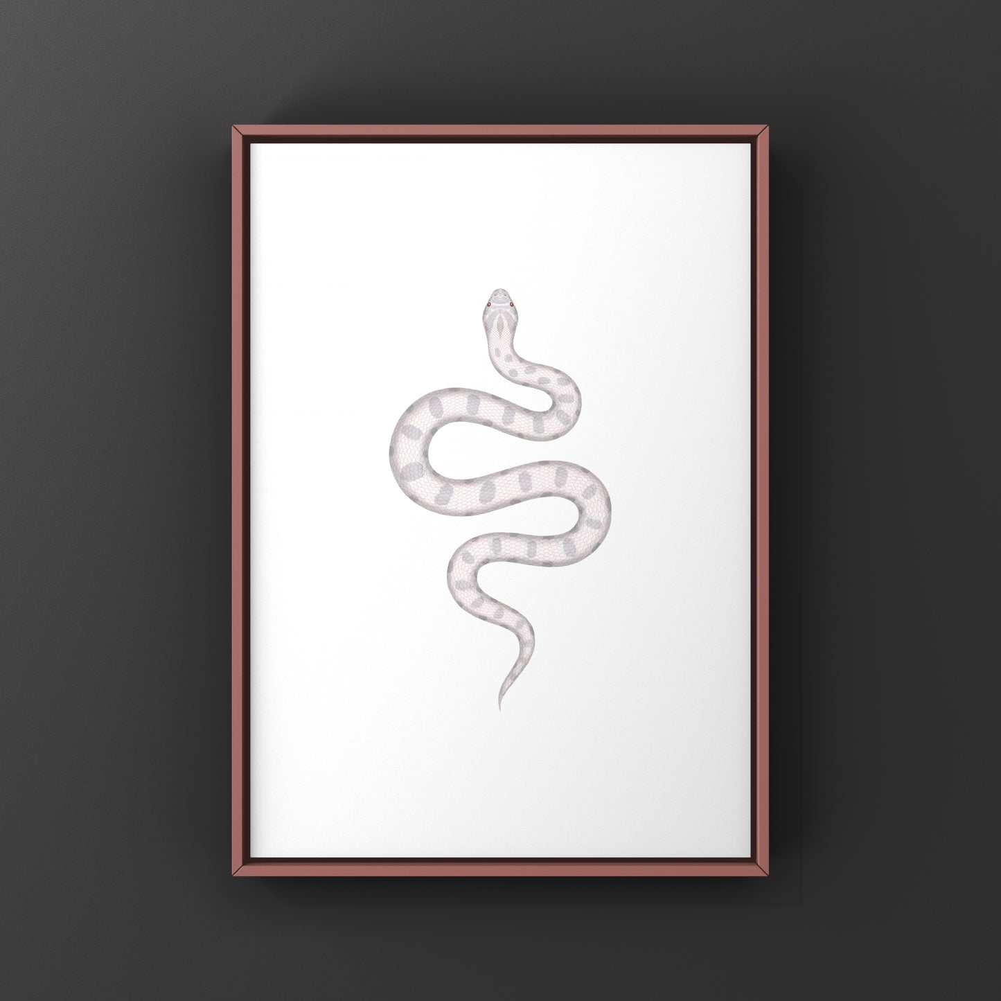 Yeti Western Hognose Snake Art Print (Heterodon nasicus)