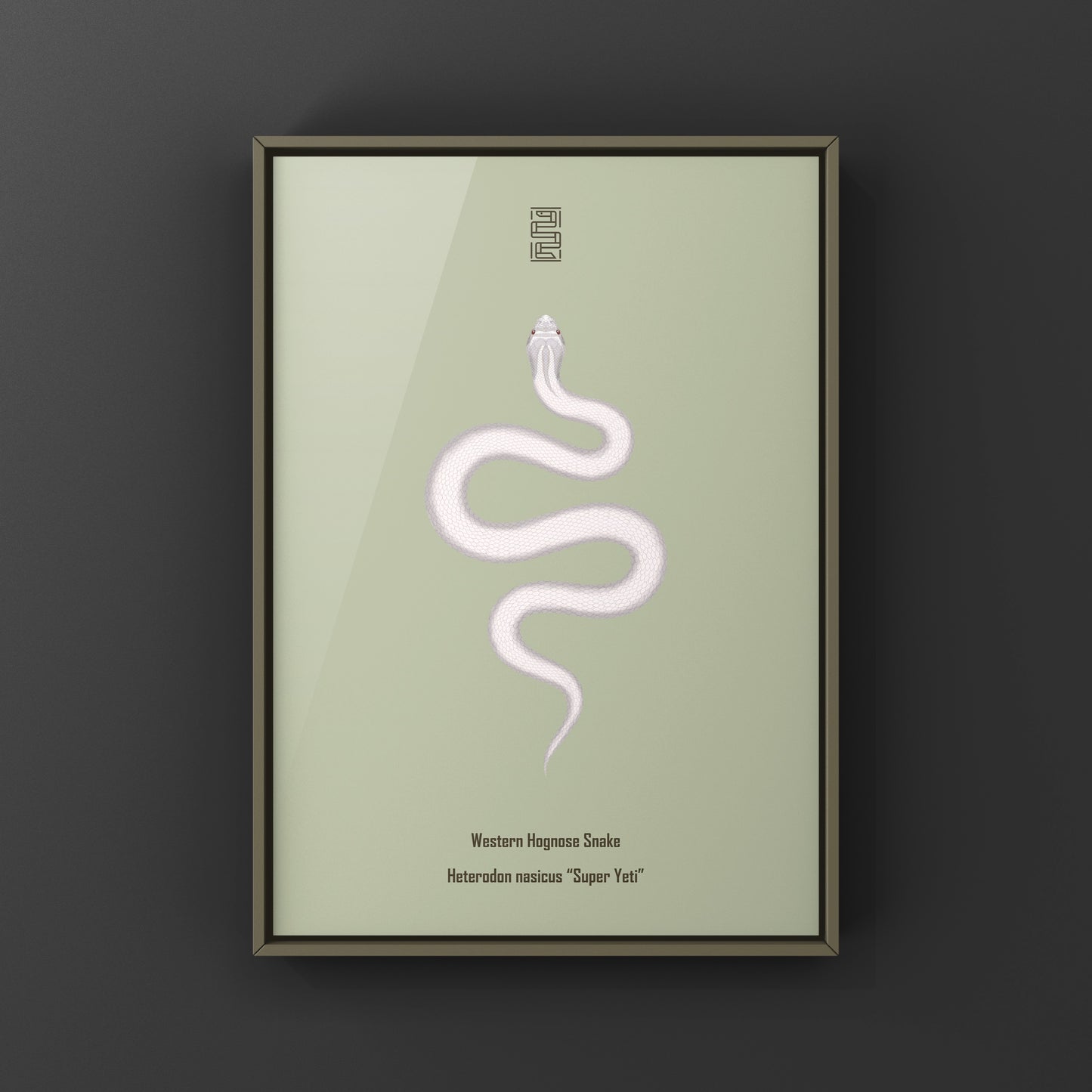 Super Yeti Western Hognose Snake Art Print (Heterodon nasicus)