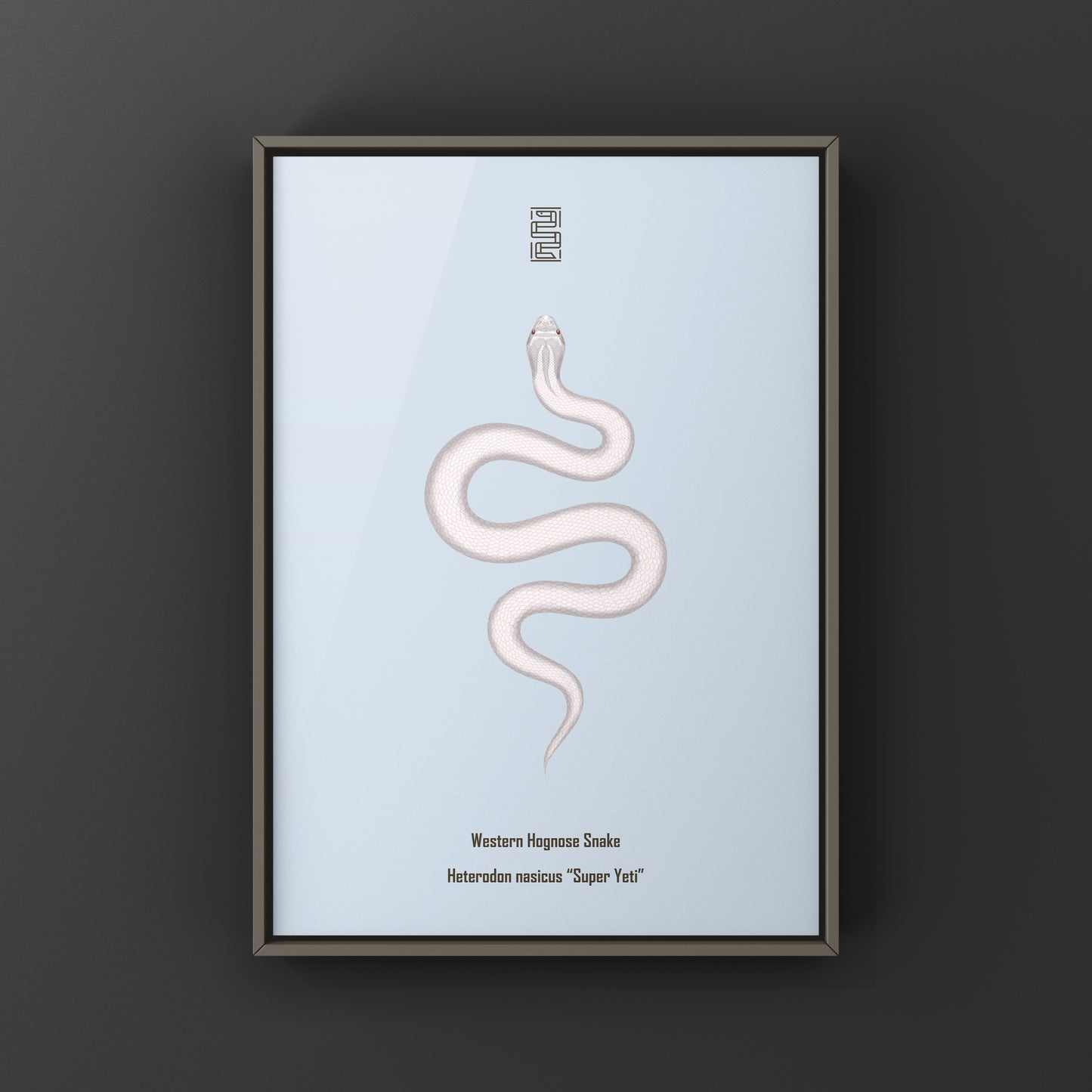 Super Yeti Western Hognose Snake Art Print (Heterodon nasicus)