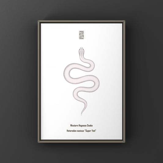 Super Yeti Western Hognose Snake Art Print (Heterodon nasicus)