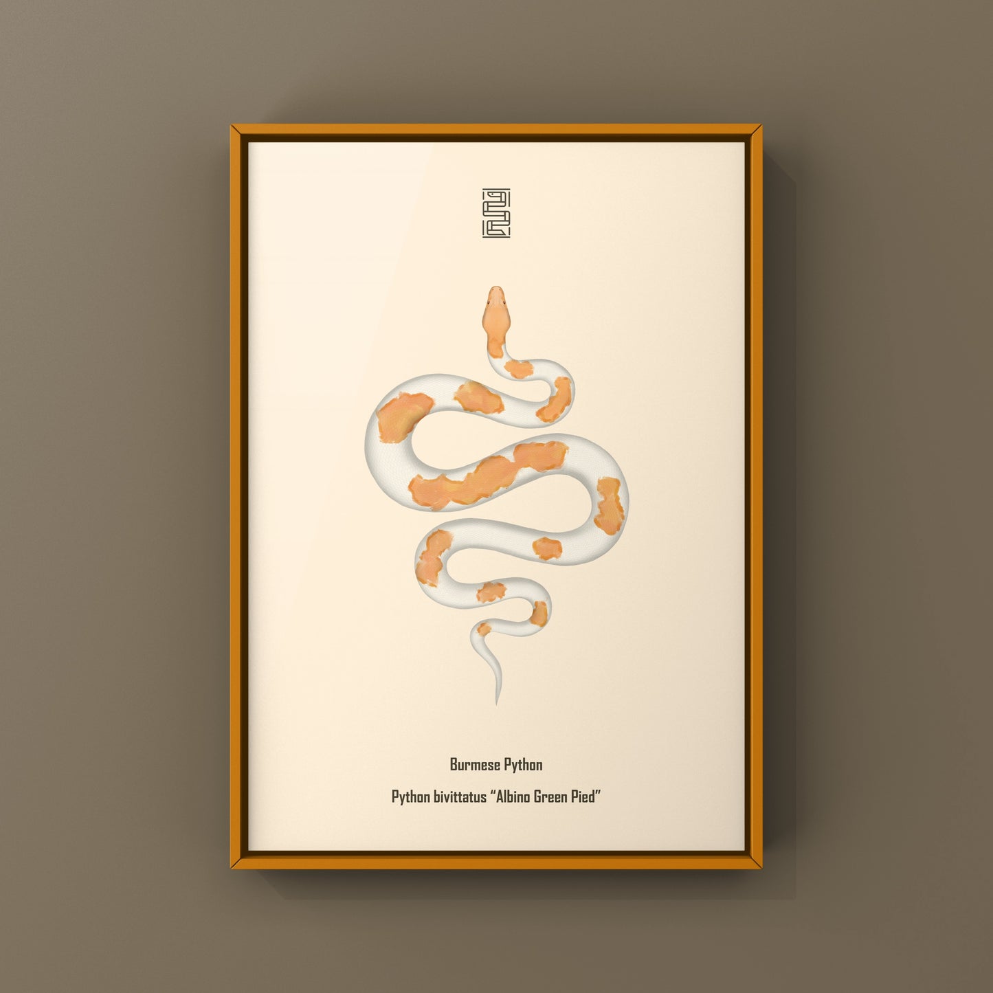 Albino Green Pied Burmese Python Art Print (Python bivittatus)