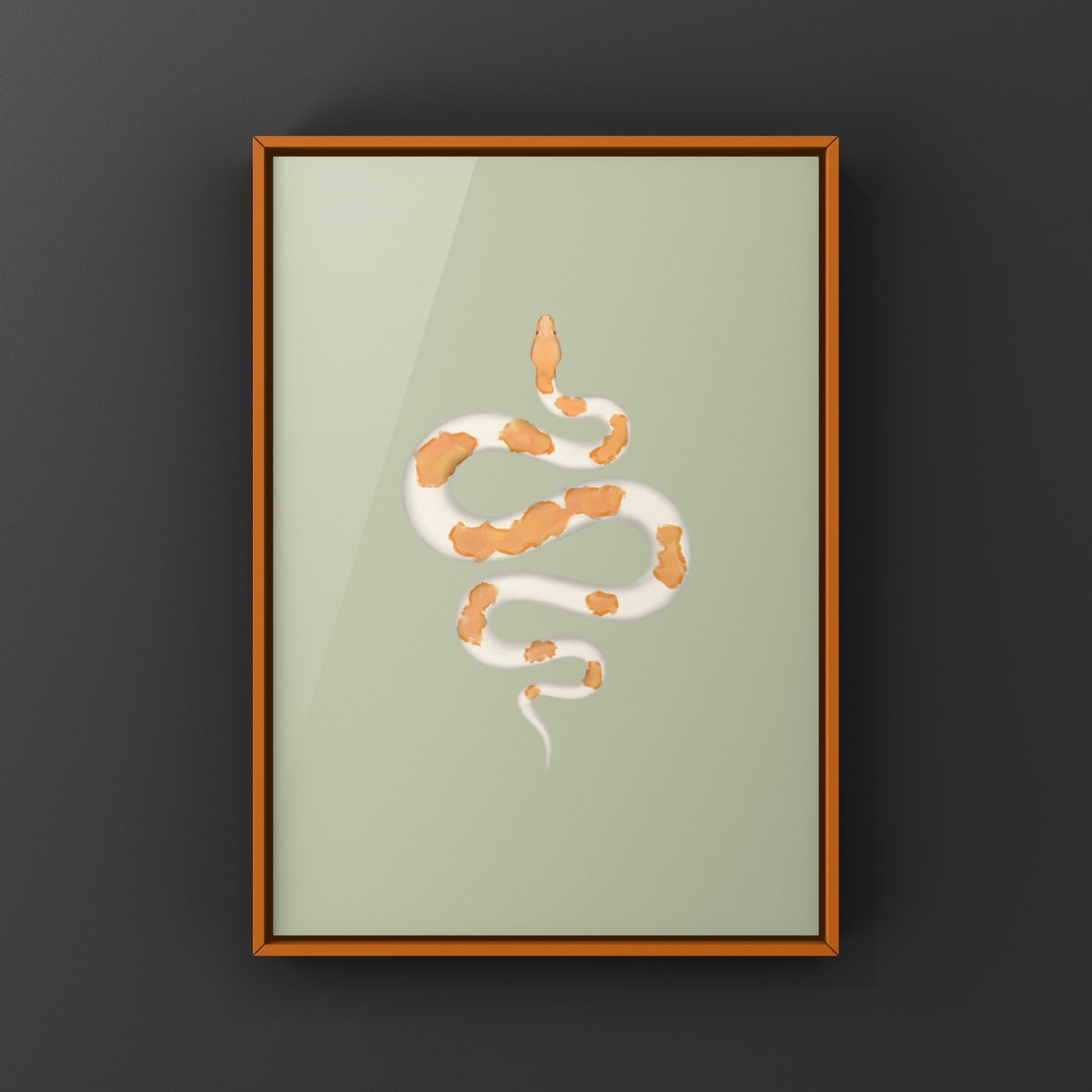 Albino Green Pied Burmese Python Art Print (Python bivittatus)