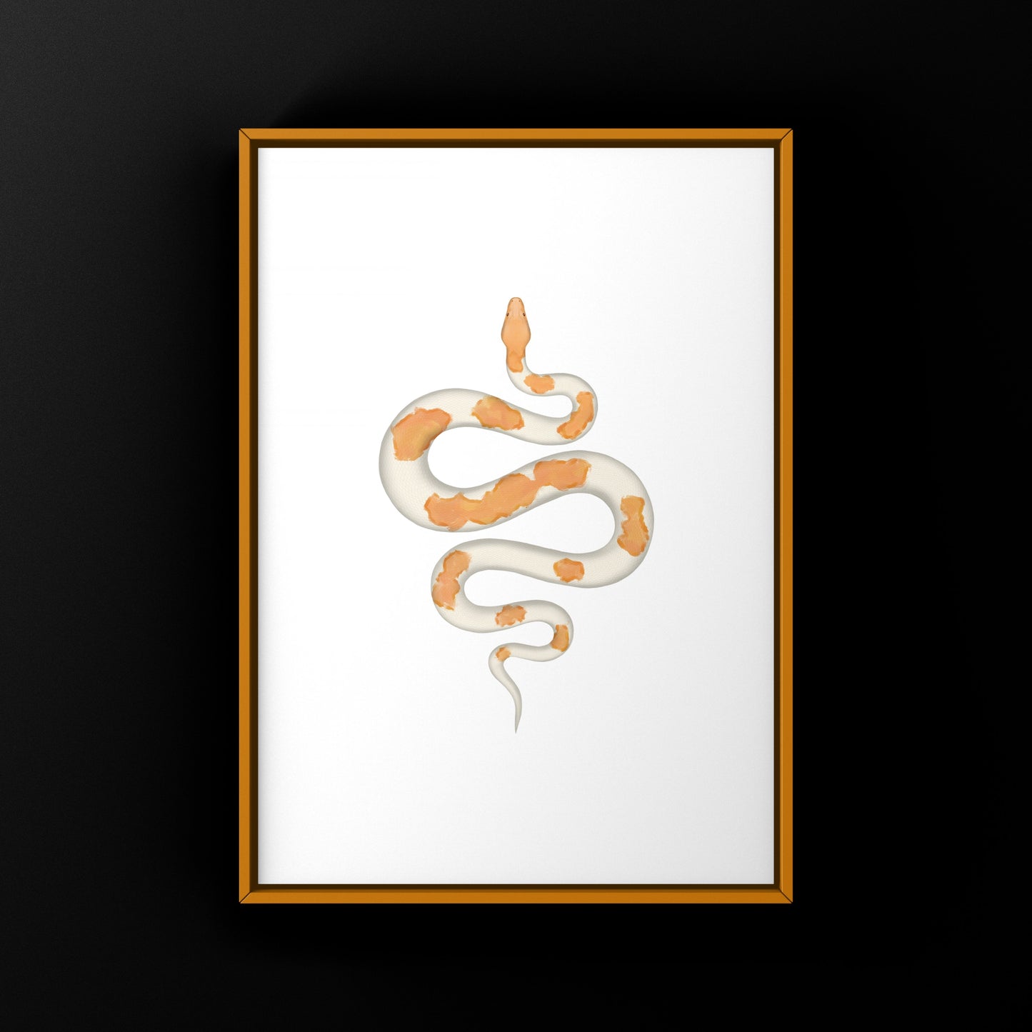 Albino Green Pied Burmese Python Art Print (Python bivittatus)