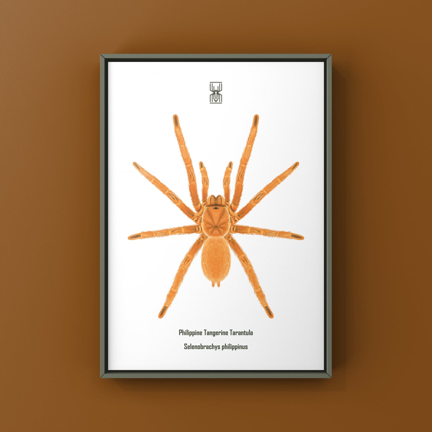 Philippine Tangerine Tarantula Art Print (Selenobrachys philippinus)