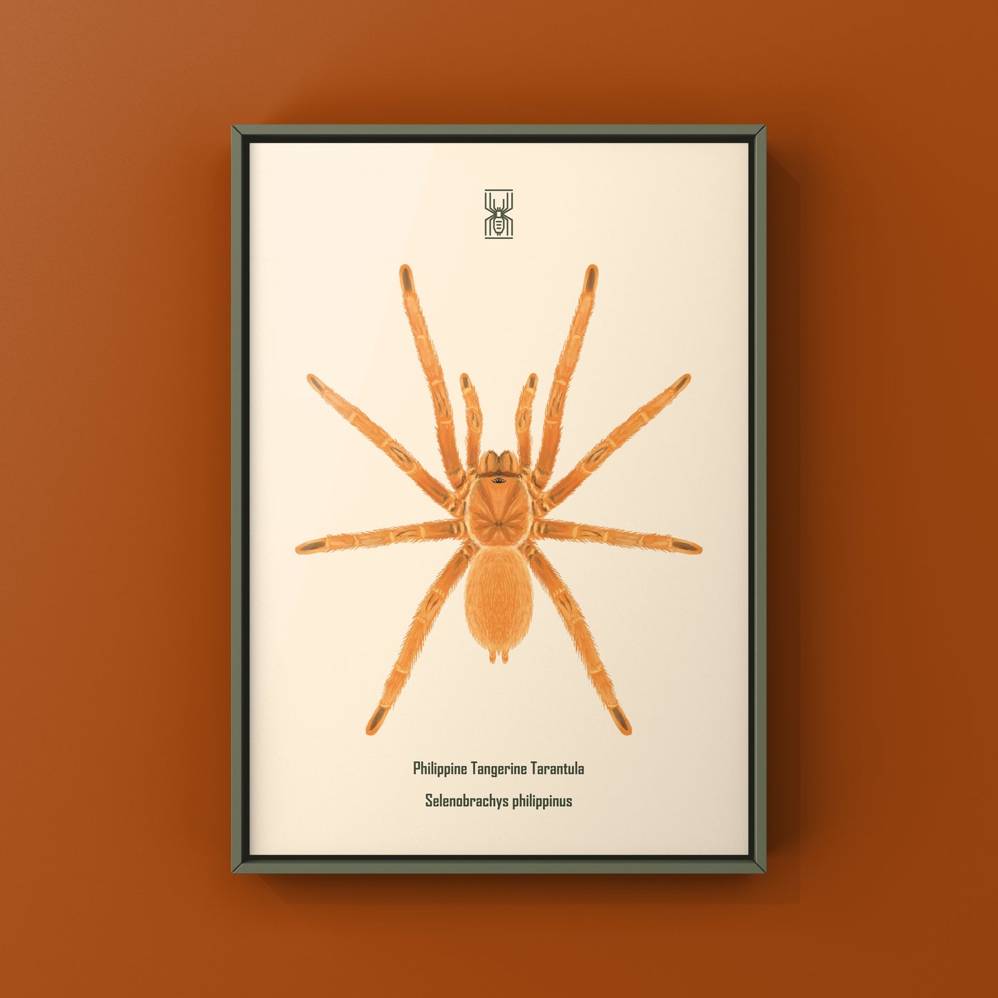 Philippine Tangerine Tarantula Art Print (Selenobrachys philippinus)