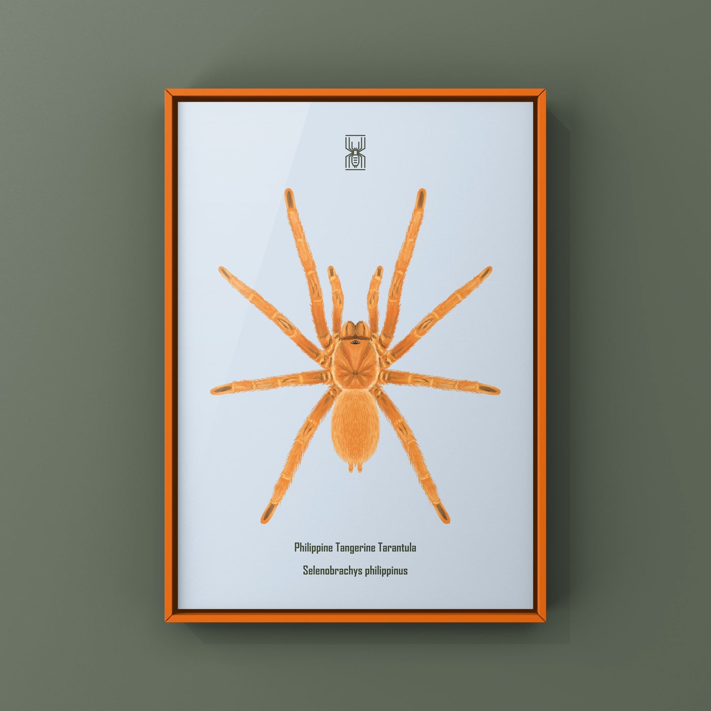 Philippine Tangerine Tarantula Art Print (Selenobrachys philippinus)