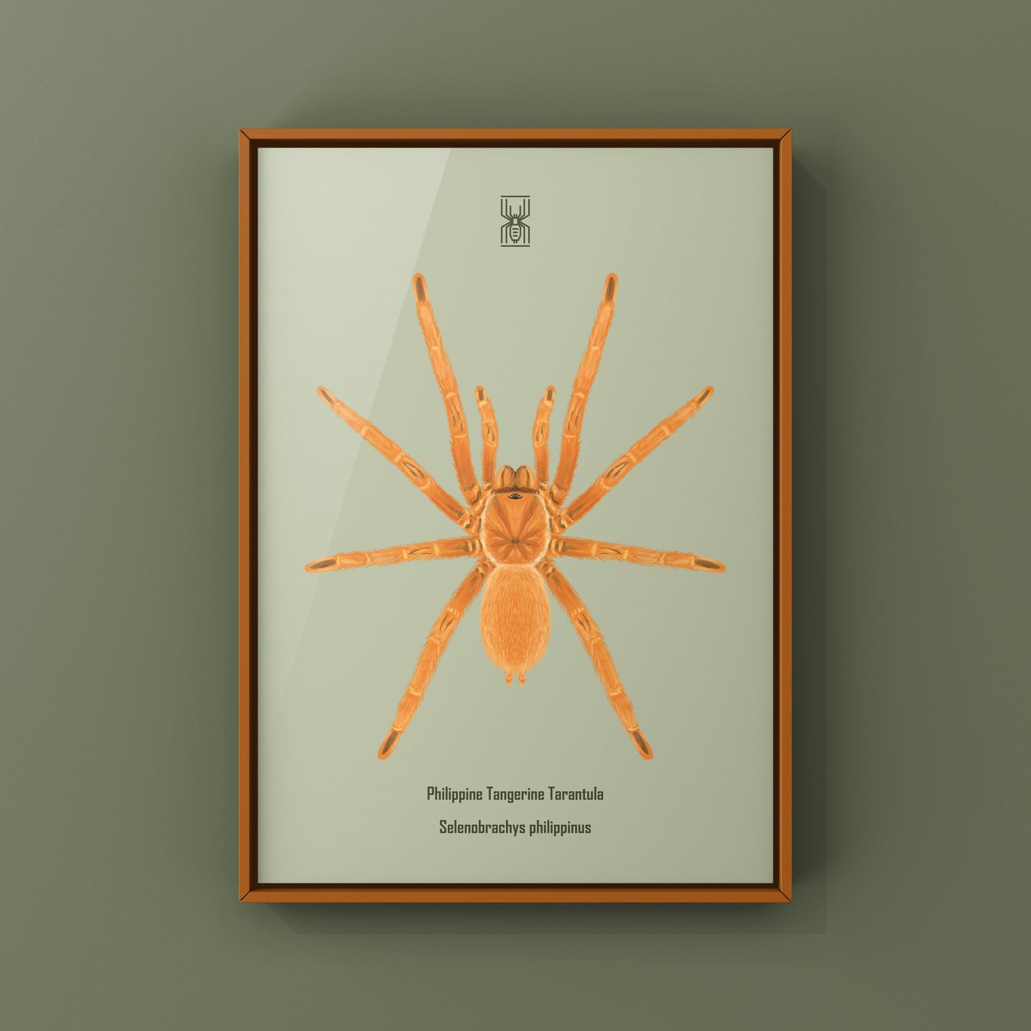 Philippine Tangerine Tarantula Art Print (Selenobrachys philippinus)